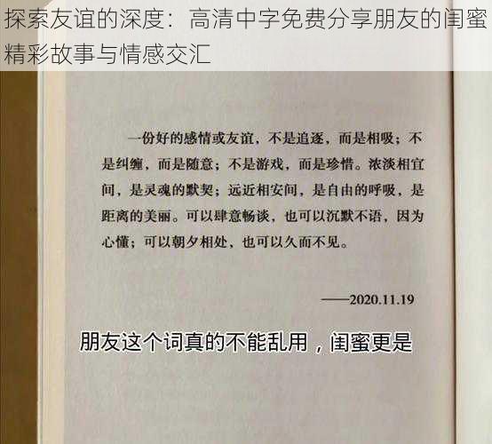 探索友谊的深度：高清中字免费分享朋友的闺蜜精彩故事与情感交汇