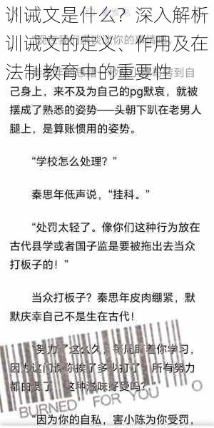 训诫文是什么？深入解析训诫文的定义、作用及在法制教育中的重要性