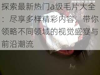 探索最新热门a级毛片大全：尽享多样精彩内容，带你领略不同领域的视觉盛宴与前沿潮流