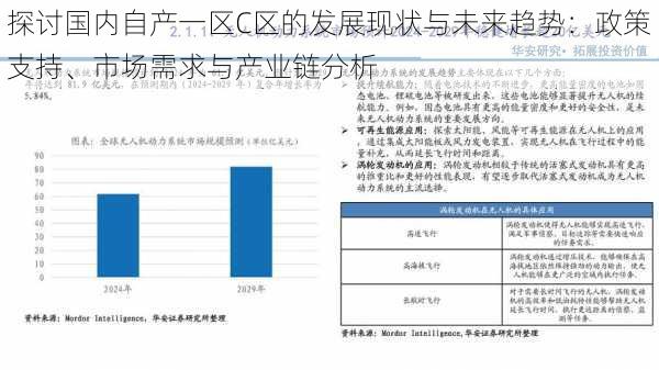 探讨国内自产一区C区的发展现状与未来趋势：政策支持、市场需求与产业链分析