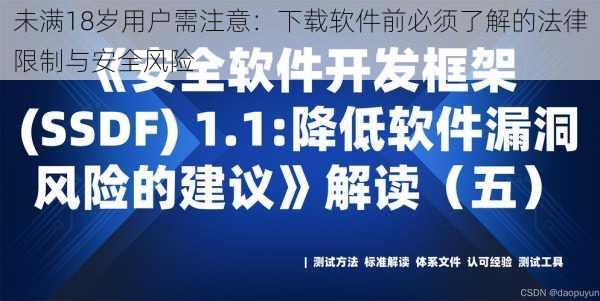 未满18岁用户需注意：下载软件前必须了解的法律限制与安全风险