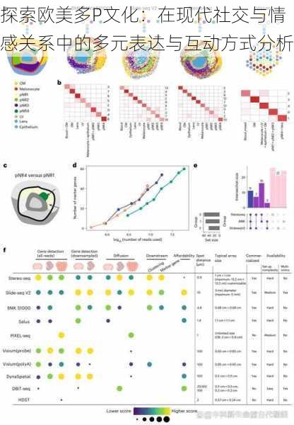 探索欧美多P文化：在现代社交与情感关系中的多元表达与互动方式分析