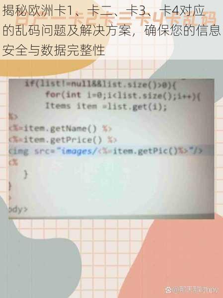 揭秘欧洲卡1、卡二、卡3、卡4对应的乱码问题及解决方案，确保您的信息安全与数据完整性