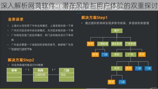 深入解析网黄软件：潜在风险与用户体验的双重探讨