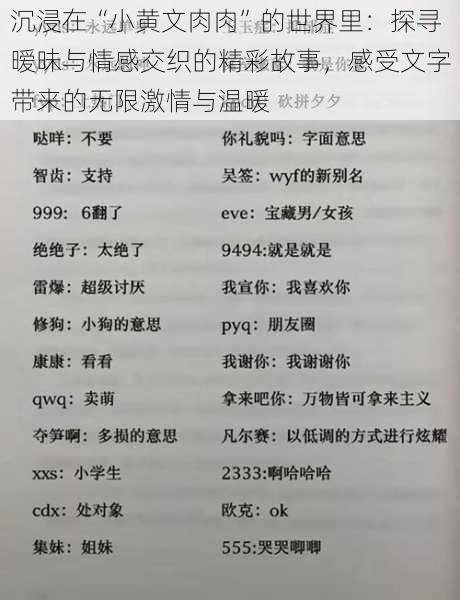 沉浸在“小黄文肉肉”的世界里：探寻暧昧与情感交织的精彩故事，感受文字带来的无限激情与温暖