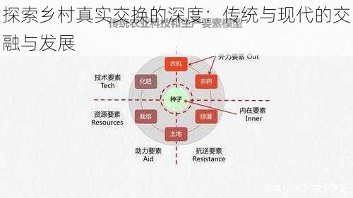 探索乡村真实交换的深度：传统与现代的交融与发展