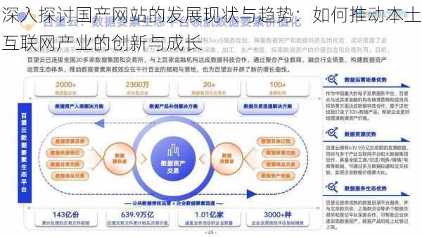 深入探讨国产网站的发展现状与趋势：如何推动本土互联网产业的创新与成长