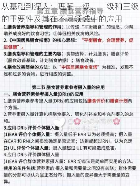 从基础到深入：理解一级、二级和三级的重要性及其在不同领域中的应用