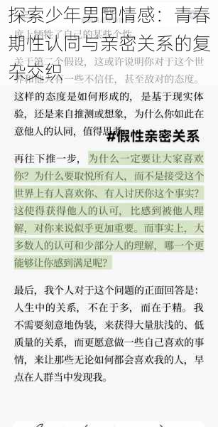 探索少年男同情感：青春期性认同与亲密关系的复杂交织