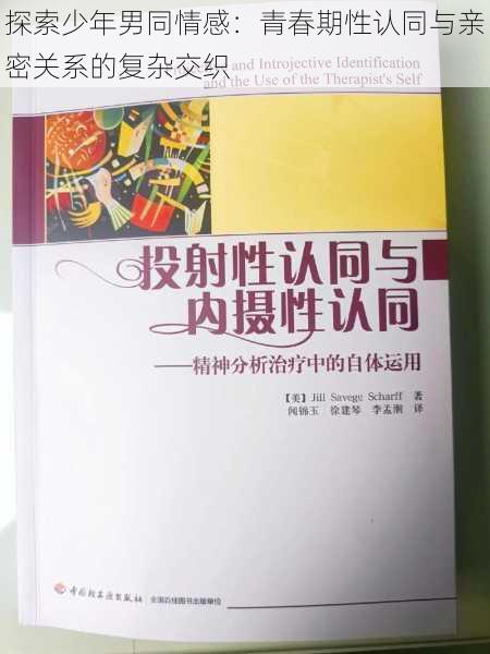 探索少年男同情感：青春期性认同与亲密关系的复杂交织