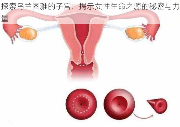 探索乌兰图雅的子宫：揭示女性生命之源的秘密与力量