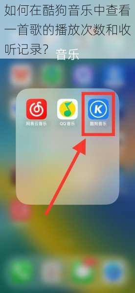如何在酷狗音乐中查看一首歌的播放次数和收听记录？