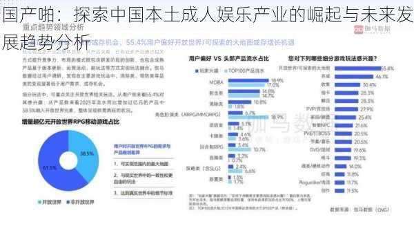 国产啪：探索中国本土成人娱乐产业的崛起与未来发展趋势分析