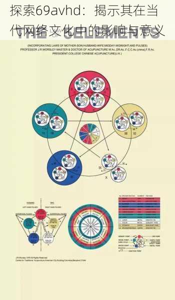 探索69avhd：揭示其在当代网络文化中的影响与意义
