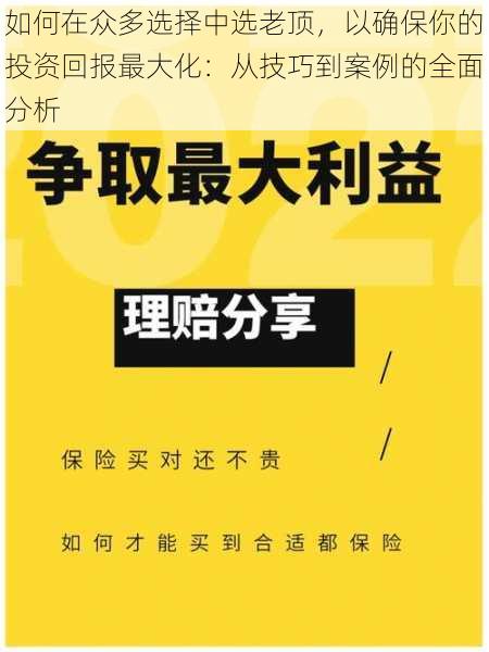 如何在众多选择中选老顶，以确保你的投资回报最大化：从技巧到案例的全面分析