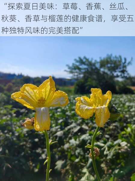 “探索夏日美味：草莓、香蕉、丝瓜、秋葵、香草与榴莲的健康食谱，享受五种独特风味的完美搭配”