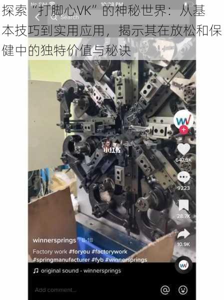 探索“打脚心VK”的神秘世界：从基本技巧到实用应用，揭示其在放松和保健中的独特价值与秘诀