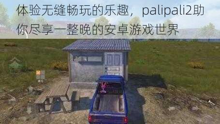 体验无缝畅玩的乐趣，palipali2助你尽享一整晚的安卓游戏世界