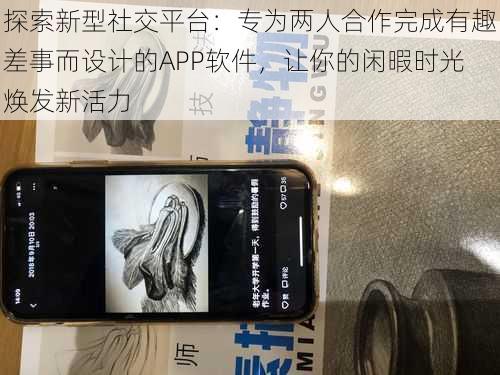 探索新型社交平台：专为两人合作完成有趣差事而设计的APP软件，让你的闲暇时光焕发新活力