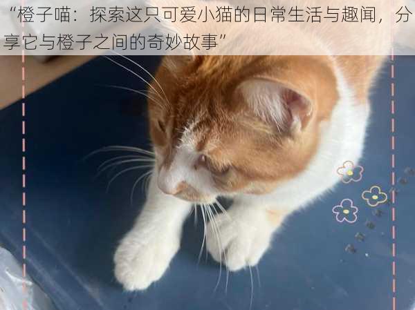 “橙子喵：探索这只可爱小猫的日常生活与趣闻，分享它与橙子之间的奇妙故事”