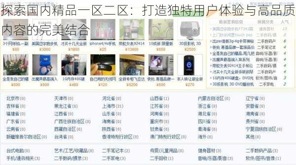 探索国内精品一区二区：打造独特用户体验与高品质内容的完美结合