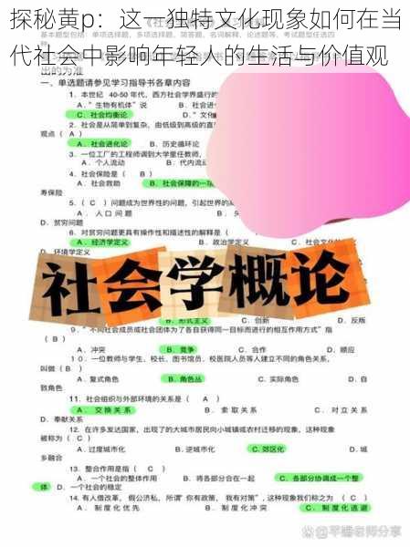 探秘黄p：这一独特文化现象如何在当代社会中影响年轻人的生活与价值观