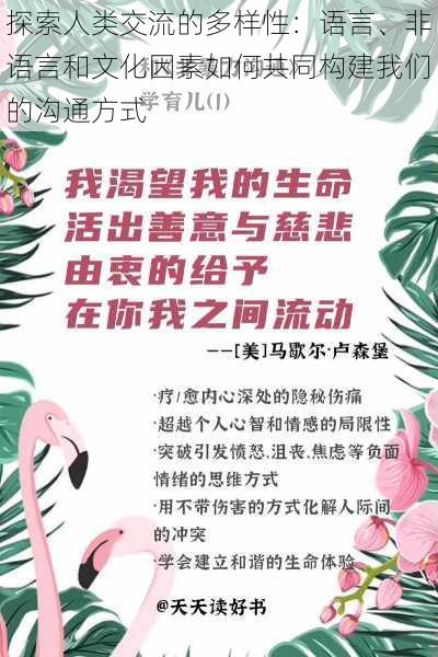 探索人类交流的多样性：语言、非语言和文化因素如何共同构建我们的沟通方式