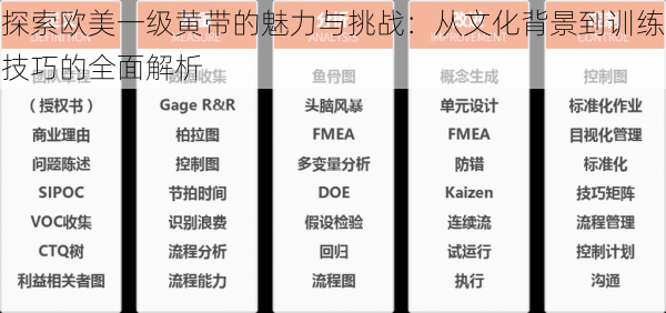 探索欧美一级黄带的魅力与挑战：从文化背景到训练技巧的全面解析