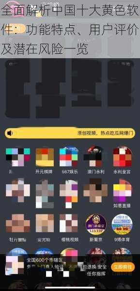 全面解析中国十大黄色软件：功能特点、用户评价及潜在风险一览