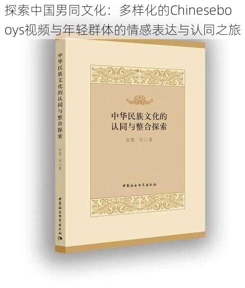 探索中国男同文化：多样化的Chinesebooys视频与年轻群体的情感表达与认同之旅