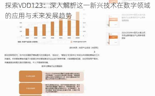 探索VDD123：深入解析这一新兴技术在数字领域的应用与未来发展趋势