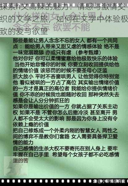 探索h文高辣的魅力：情感与激情交织的文学之旅，如何在文字中体验极致的爱与欲望