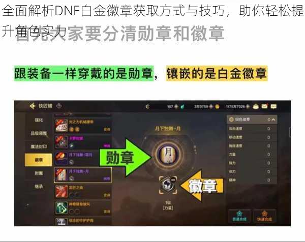 全面解析DNF白金徽章获取方式与技巧，助你轻松提升角色实力