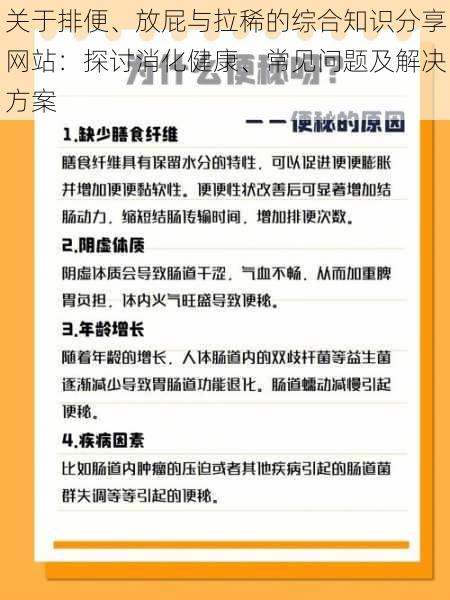 关于排便、放屁与拉稀的综合知识分享网站：探讨消化健康、常见问题及解决方案