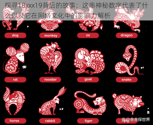 探寻18xxx19背后的故事：这串神秘数字代表了什么以及它在网络文化中的影响力解析