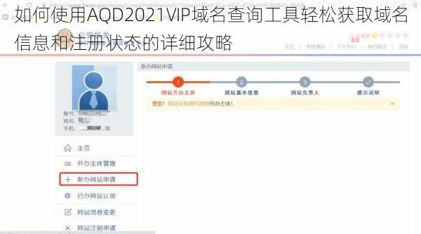 如何使用AQD2021VIP域名查询工具轻松获取域名信息和注册状态的详细攻略