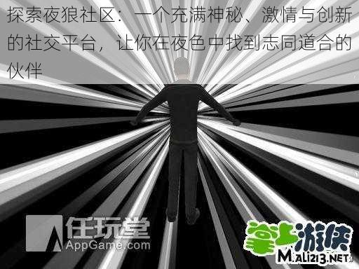 探索夜狼社区：一个充满神秘、激情与创新的社交平台，让你在夜色中找到志同道合的伙伴