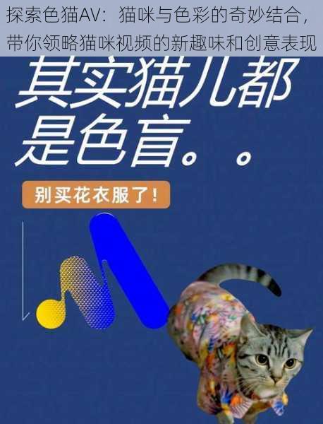 探索色猫AV：猫咪与色彩的奇妙结合，带你领略猫咪视频的新趣味和创意表现