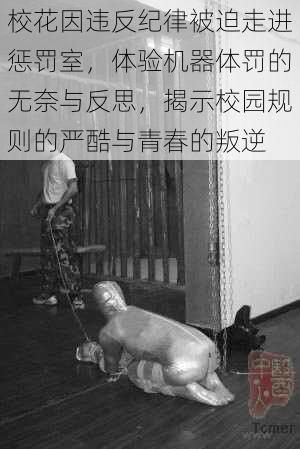 校花因违反纪律被迫走进惩罚室，体验机器体罚的无奈与反思，揭示校园规则的严酷与青春的叛逆