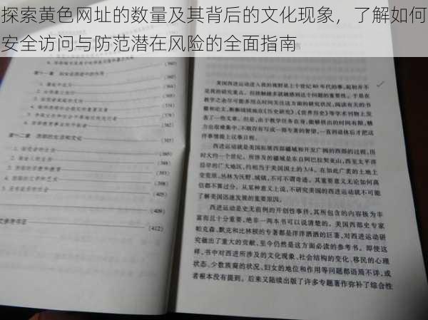 探索黄色网址的数量及其背后的文化现象，了解如何安全访问与防范潜在风险的全面指南