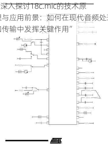 “深入探讨18c.mic的技术原理与应用前景：如何在现代音频处理和传输中发挥关键作用”