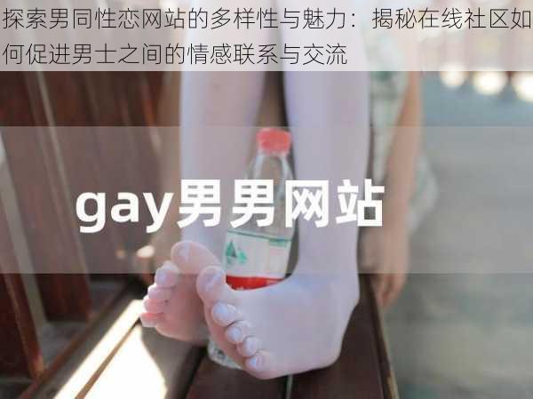 探索男同性恋网站的多样性与魅力：揭秘在线社区如何促进男士之间的情感联系与交流