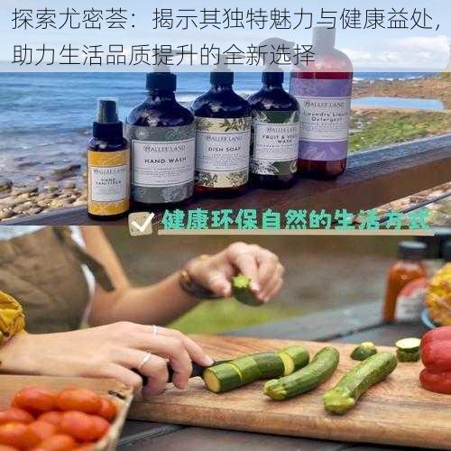 探索尤密荟：揭示其独特魅力与健康益处，助力生活品质提升的全新选择