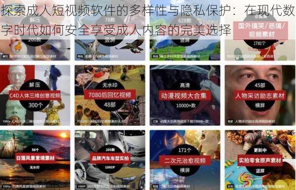 探索成人短视频软件的多样性与隐私保护：在现代数字时代如何安全享受成人内容的完美选择