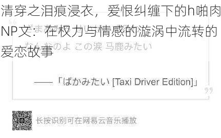 清穿之泪痕浸衣，爱恨纠缠下的h啪肉NP文：在权力与情感的漩涡中流转的爱恋故事