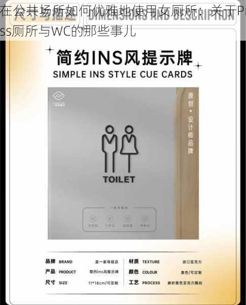在公共场所如何优雅地使用女厕所：关于Piss厕所与WC的那些事儿