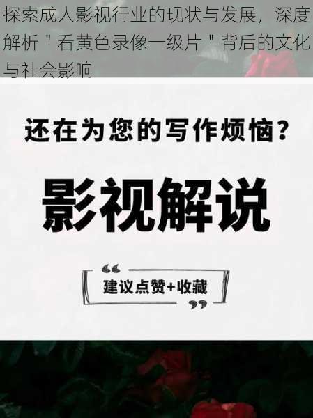 探索成人影视行业的现状与发展，深度解析＂看黄色录像一级片＂背后的文化与社会影响