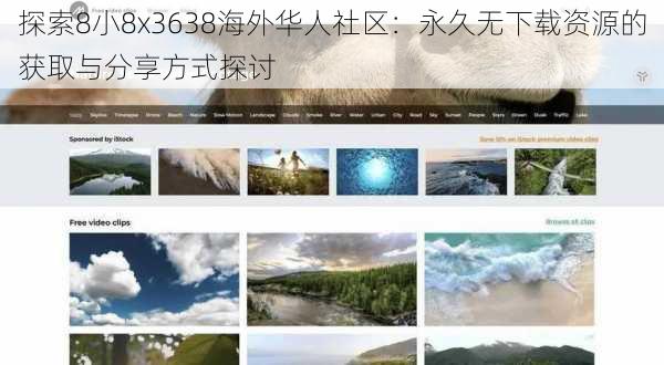 探索8小8x3638海外华人社区：永久无下载资源的获取与分享方式探讨