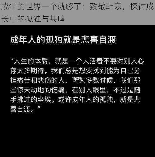 成年的世界一个就够了：致敬韩寒，探讨成长中的孤独与共鸣