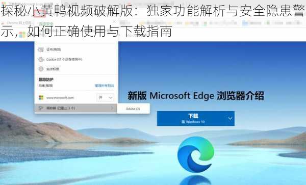 探秘小黄鸭视频破解版：独家功能解析与安全隐患警示，如何正确使用与下载指南